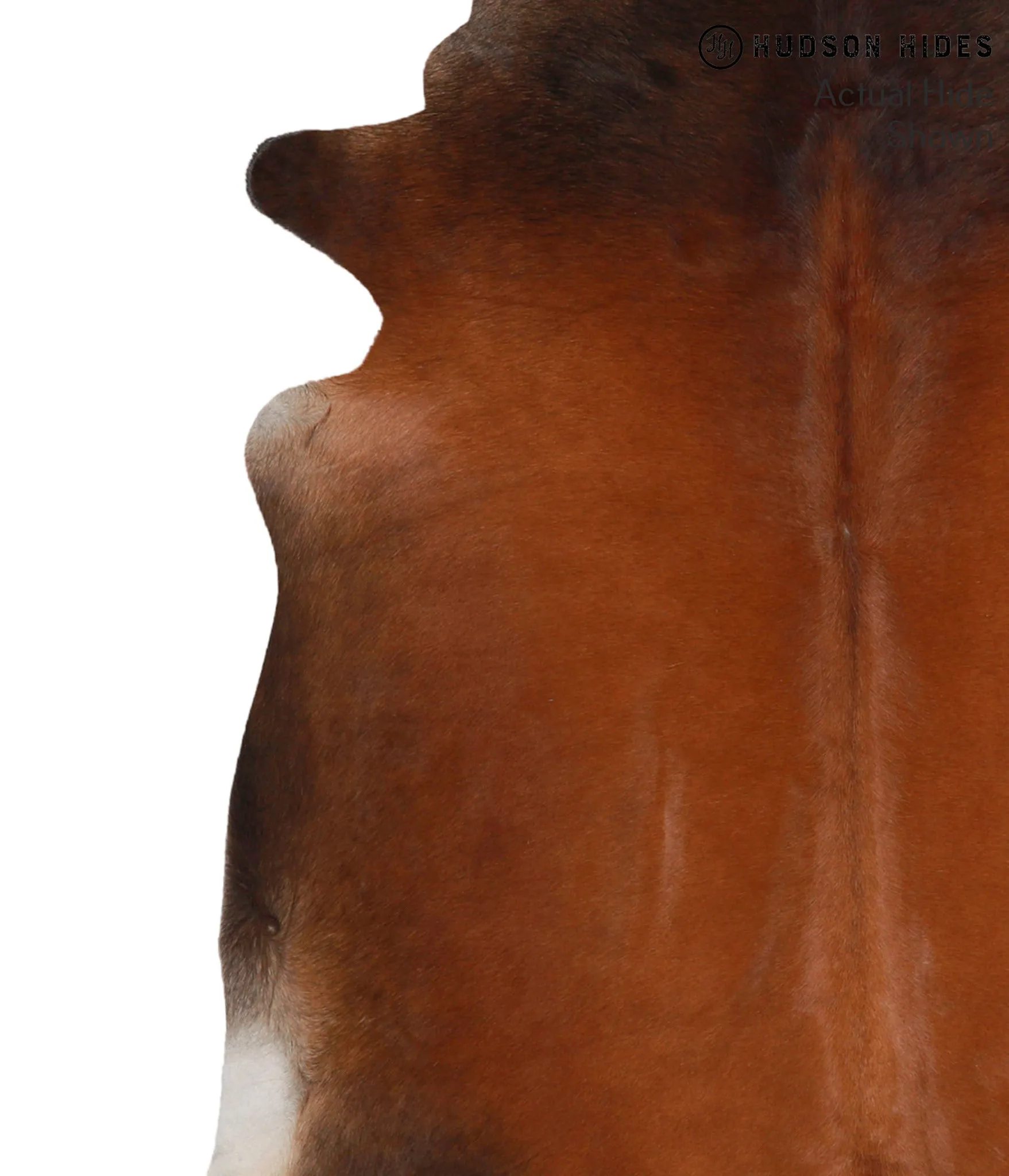 Warm Caramel X-Large Brazilian Cowhide Rug 6'7"H x 6'6"W #69256 by Hudson Hides